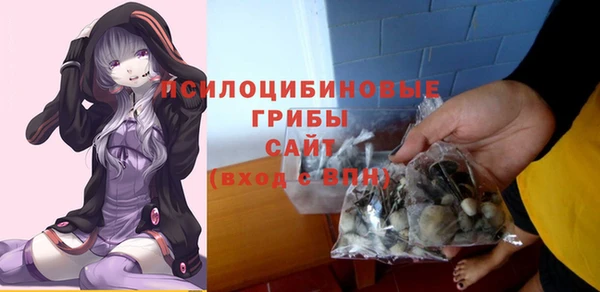 PSILOCYBIN Алексеевка