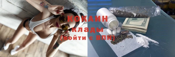 PSILOCYBIN Алексеевка