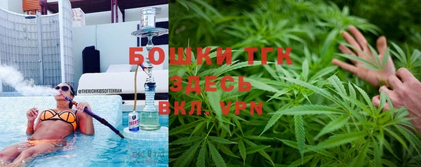 ГАЛЛЮЦИНОГЕННЫЕ ГРИБЫ Алзамай