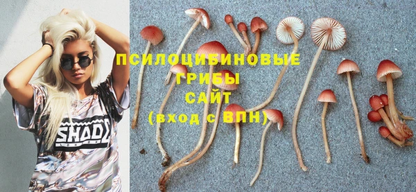 PSILOCYBIN Алексеевка