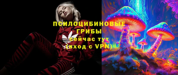 PSILOCYBIN Алексеевка