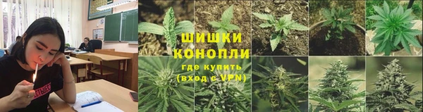 ГАЛЛЮЦИНОГЕННЫЕ ГРИБЫ Алзамай
