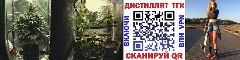 дарк нет телеграм  Новороссийск  ТГК THC oil  купить  