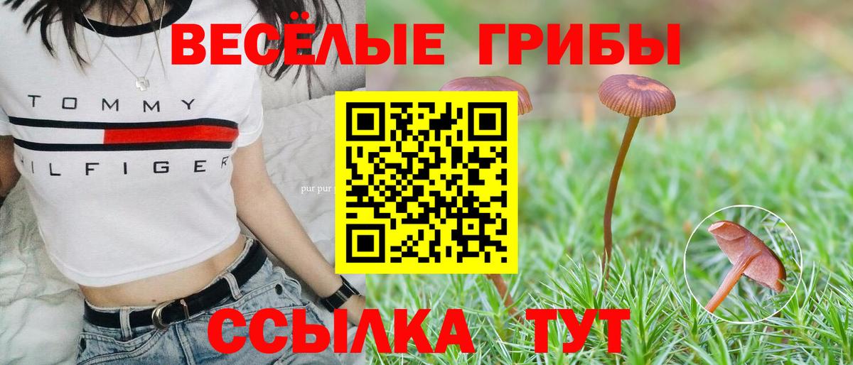 Псилоцибиновые грибы Magic Shrooms  Вход с VPN  Новороссийск 