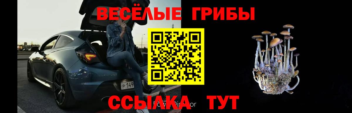 Галлюциногенные грибы ЛСД Новороссийск