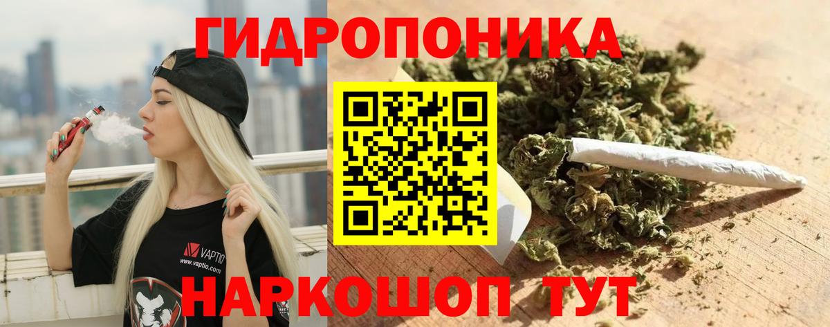 Канабис семена  Вход с VPN  Бошки марихуана OG Kush  Марихуана планчик  Новороссийск 